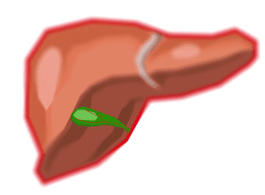 De galblaas