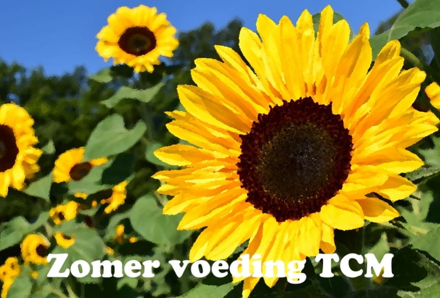 Gezond de zomer door