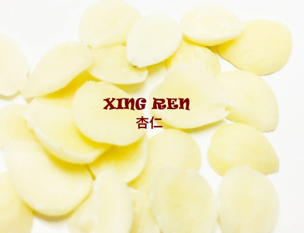 Xing Ren (杏仁)