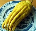 Vingercitroen