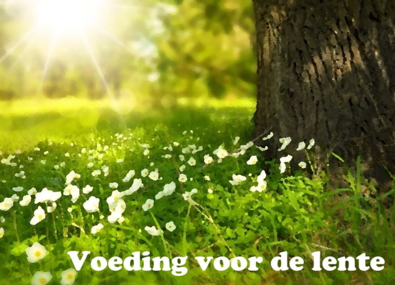 Voedingsadvies lente Nieuwsbrief maart 2022